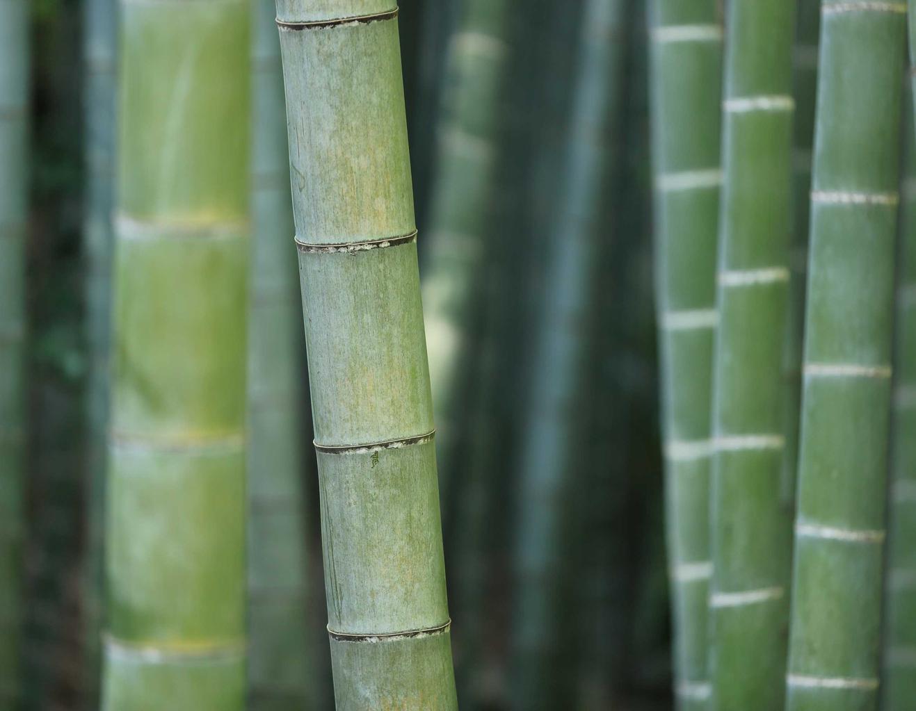 恒行2芯片公司注册代理