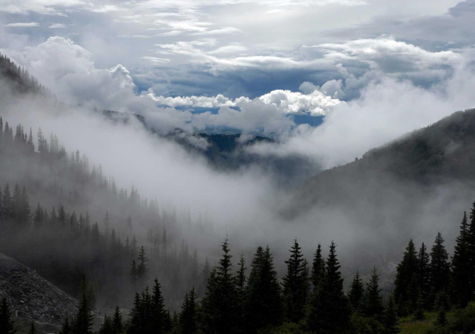 西部数码实名账号：代理公司公司注册