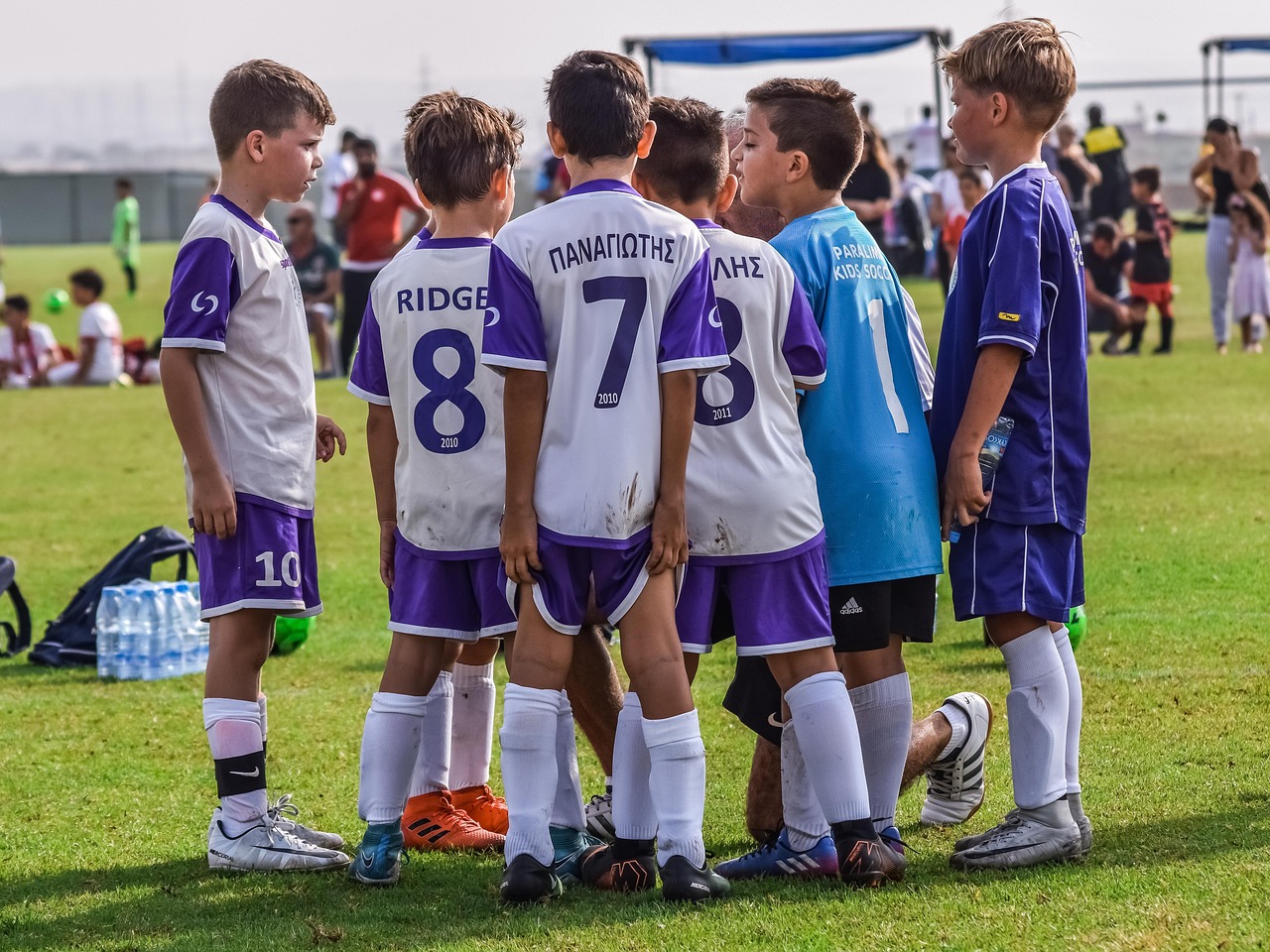 在线DDOS平台攻击|天联网app详情下载教程