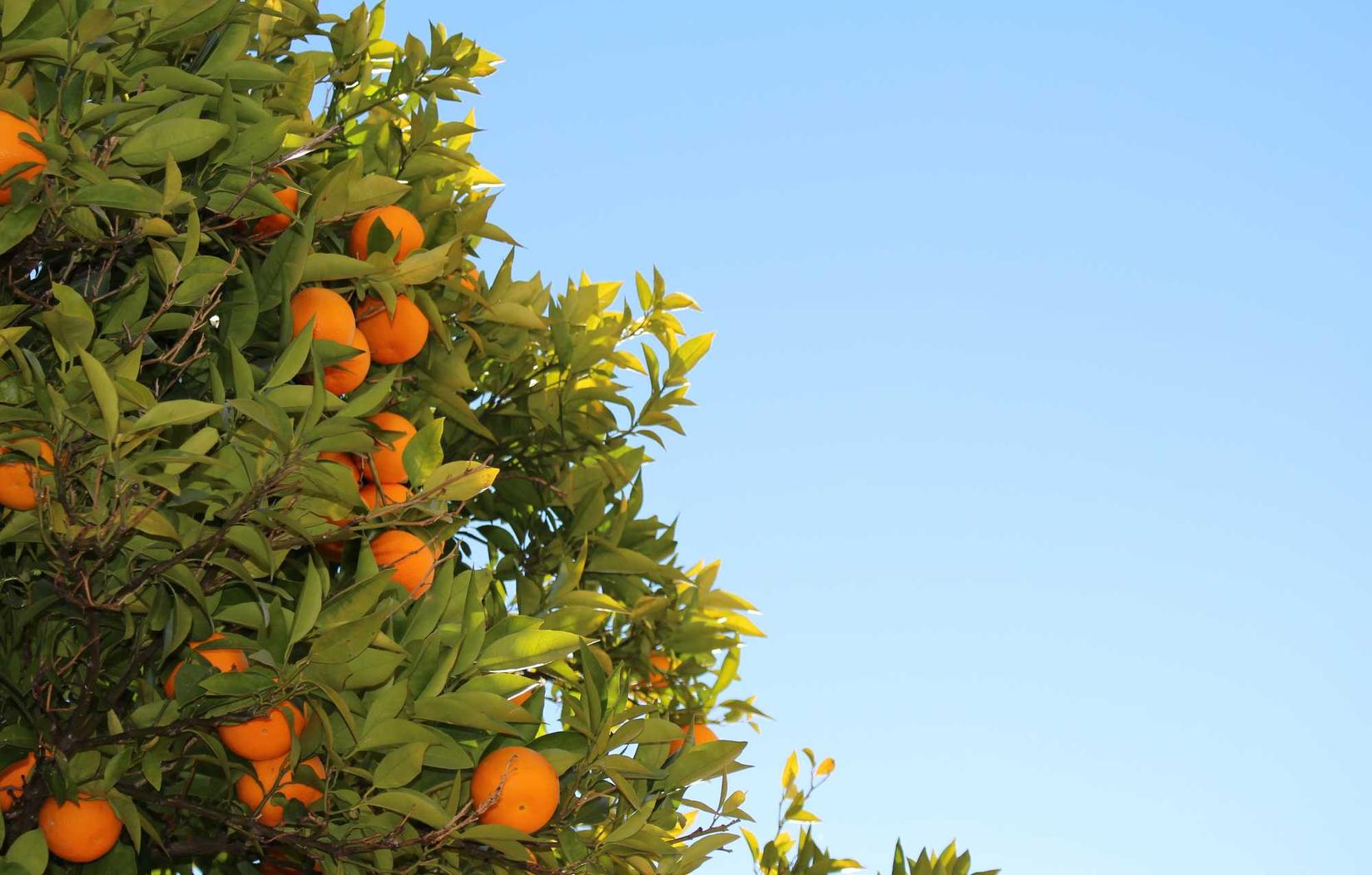 大摩房山代理公司注册代理