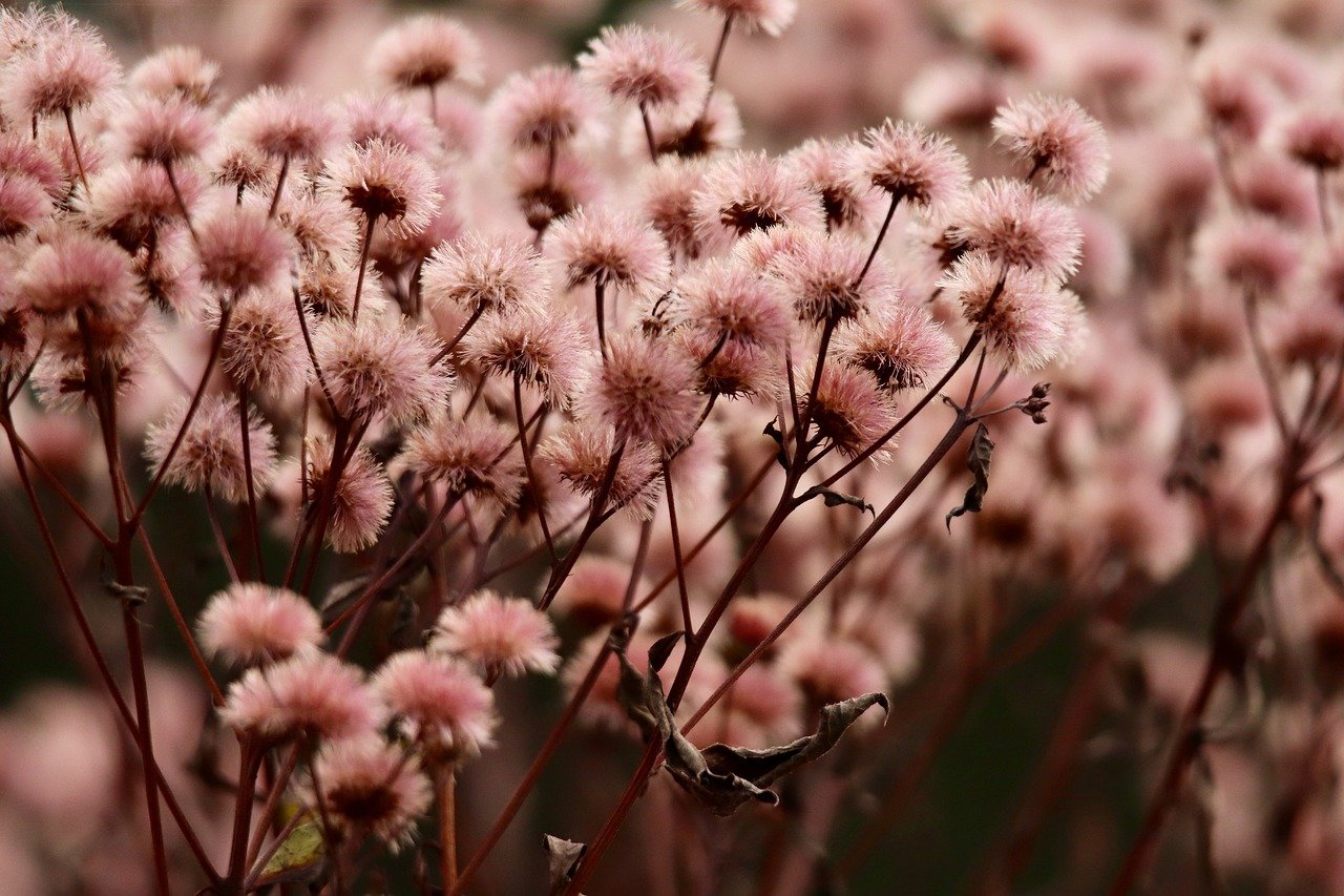 虎牙实名账号:江苏购买升降平台欢迎咨询